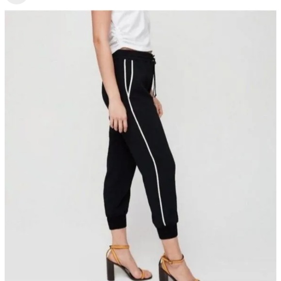 Wilfred Other - Aritzia sweat pants